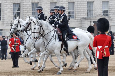 english royal guard horses
