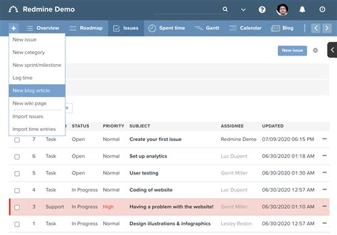Enissue Template Redmine