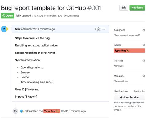 Enjira Bug Tracking Template