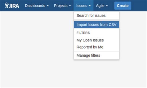 Enjira Import Issues From Csv Template