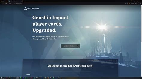 enka network not working