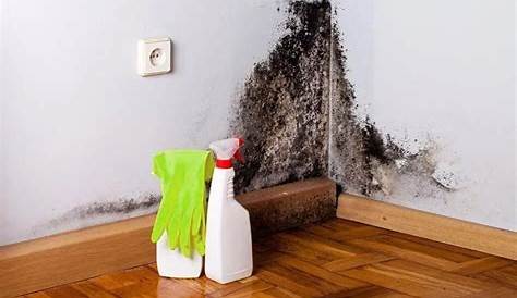 Enlever Tache Humidite Mur Interieur Traitement Humidité Des s Lutte Contre Les Remontées