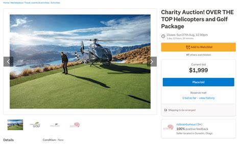 Enlive Auction Website Template