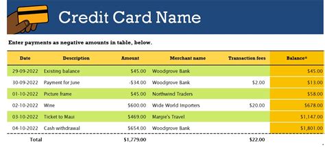 Enmultiple Credit Card Excel Template