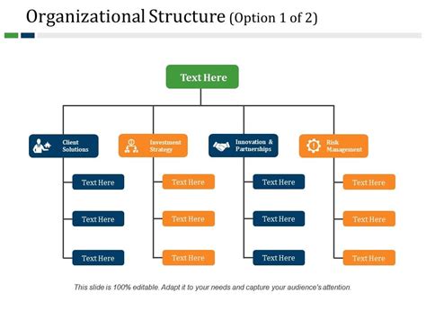 Enorg Structure Template Ppt