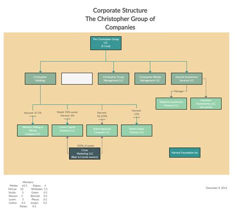 Enownership Structure Chart Template