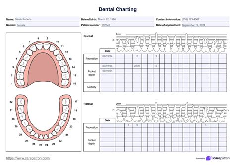 Enperiodontal Chart Template