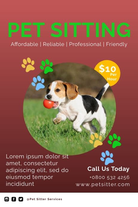 Enpet Sitting Flyer Template