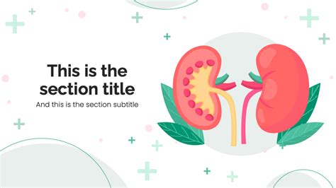 Enpowerpoint Template Kidney