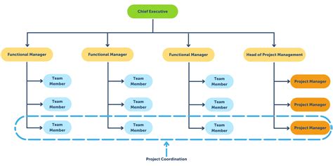 Enprogram Management Structure Template