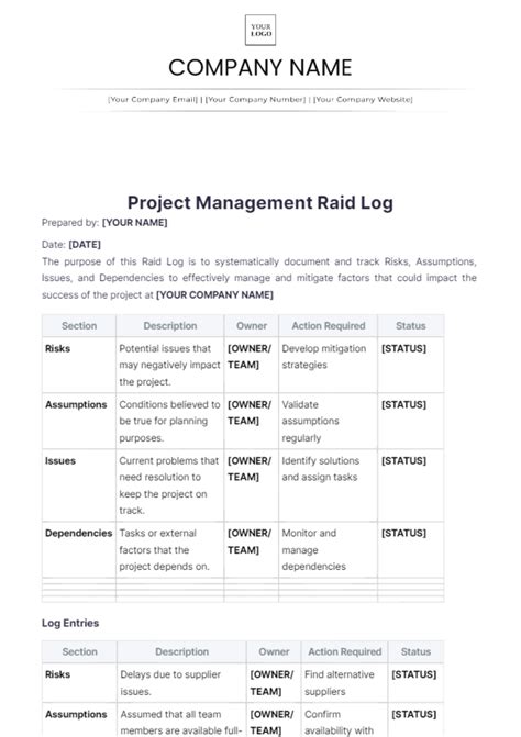 Enproject Management Raid Log Template