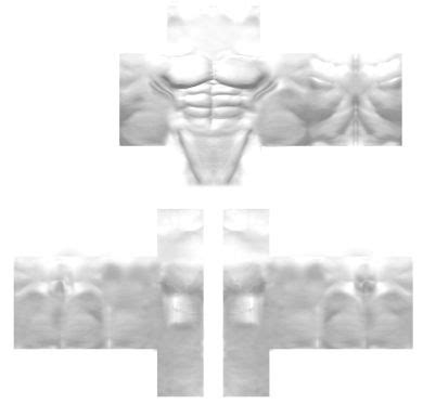 Enroblox Abs Template