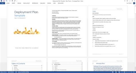 Ensoftware Deployment Plan Template Word