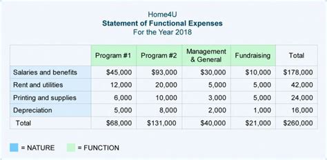 Enstatement Of Functional Expenses Template Excel