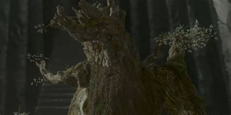 ent earth
