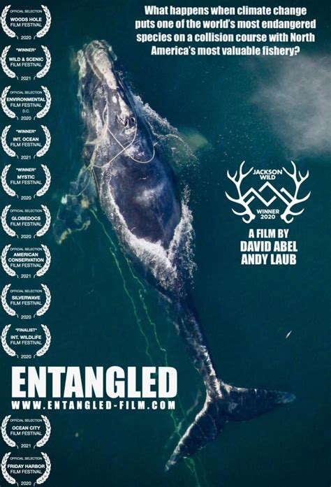 entangled movie right whale