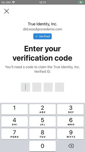enter pin code