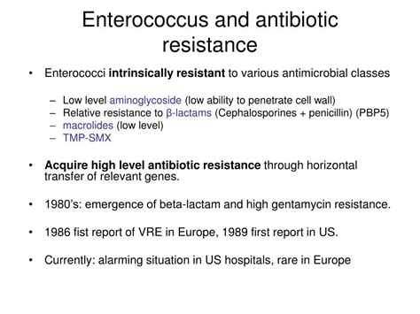 enterococcus faecalis antibiotic resistance