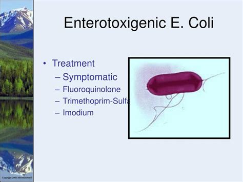 enterotoxigenic e coli treatment
