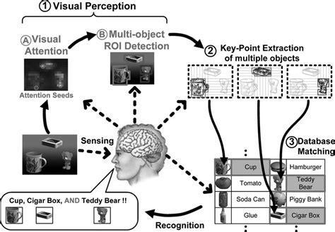 Enthe Template Model Of Object Recognition Is Based On