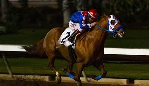 entries los alamitos