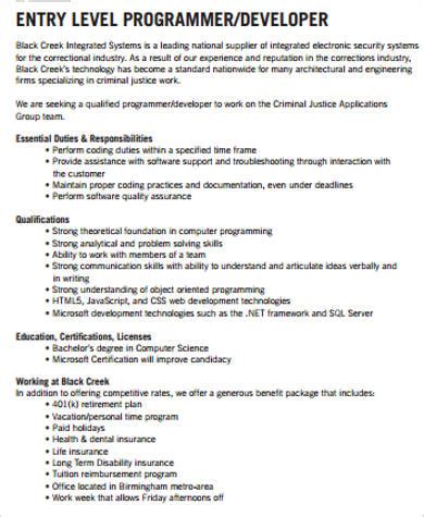 entry level programmer job description
