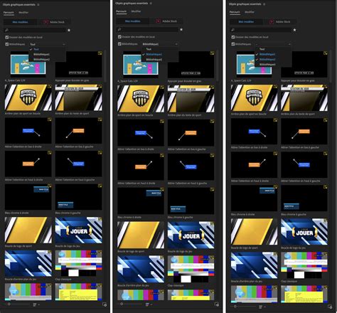 Enusing Motion Graphics Templates In Premiere Pro