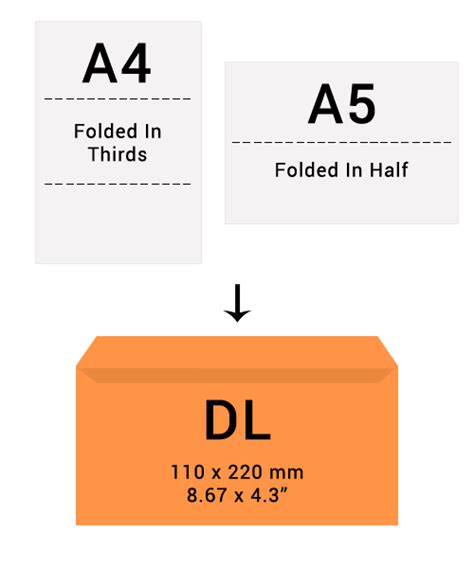 Envelope Sizes Dl Inches