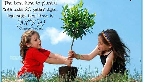 Happy World Environment Day 2020 Wishes Quotes Sayings Slogans Pics Images