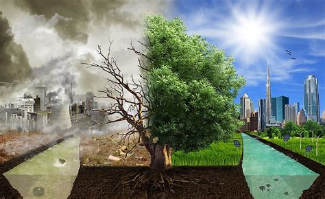 Environment Sustainability And Climate Change: A Guide To Saving The Planet
