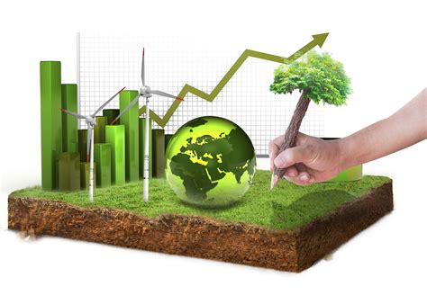 Environmental Sustainability Courses: Paving The Way For A Greener Future