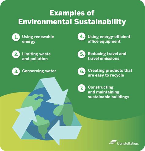 Environmental Sustainability Examples