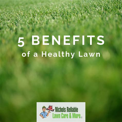 environmental benefits of lawn care