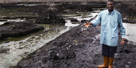 environmental degradation in niger delta