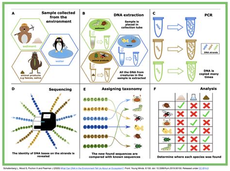 Environmental Dna Extraction