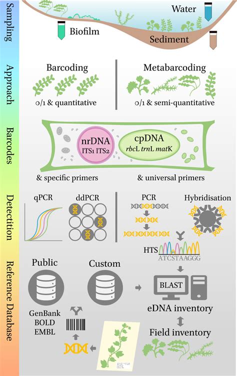 Environmental Dna Sequencing