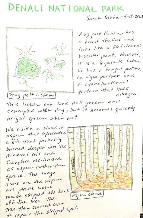 Environmental Field Notes