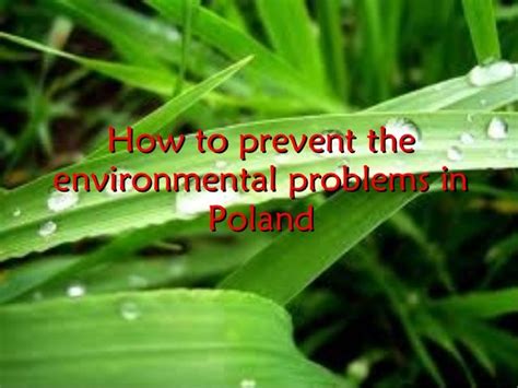 environmental issues in poland