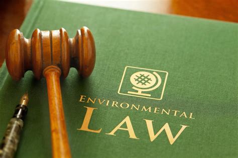 environmental law violations