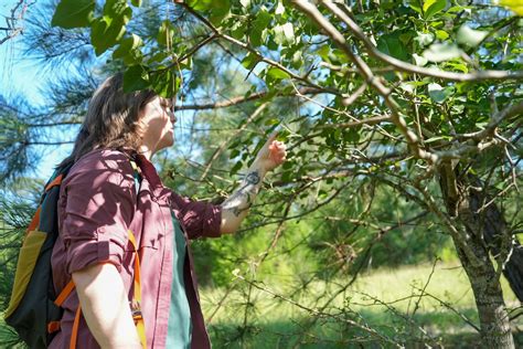 Environmental Management Branch