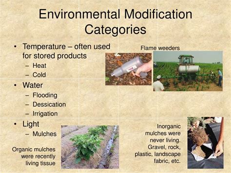 environmental modifications for deer flies