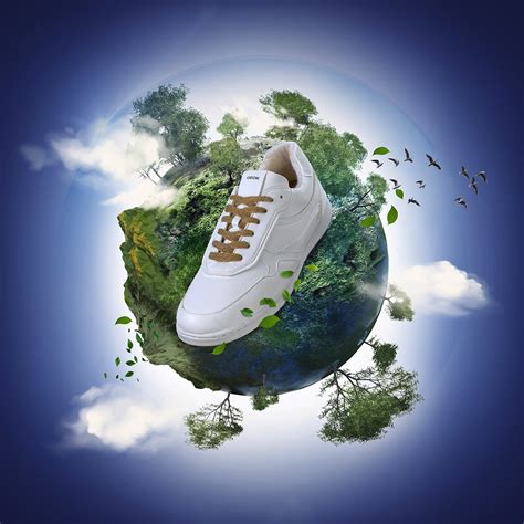 Environmental Shoes