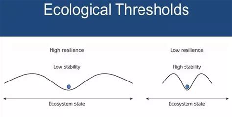 Environmental Threshold Examples