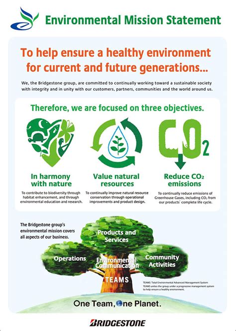 environmental vision statement examples