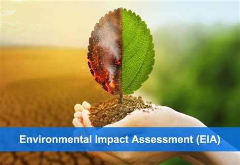 <h4>Environmental Impact</h4>