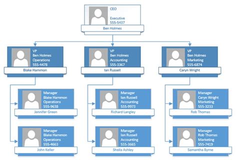 Envisio Org Chart Excel Template