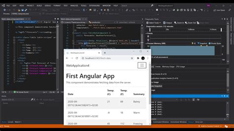 Envisual Studio 2019 Angular 12 Template