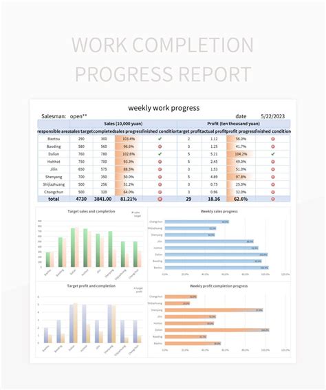 Enwork Progress Report Template Excel
