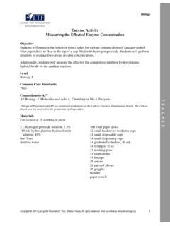 Enzyme Activity Journal Pdf