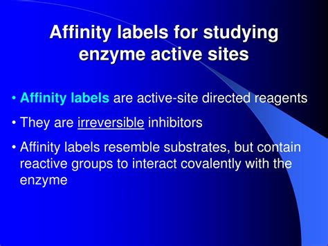 Enzyme Affinity Definition